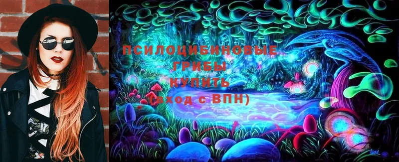 Галлюциногенные грибы Cubensis  Баксан 